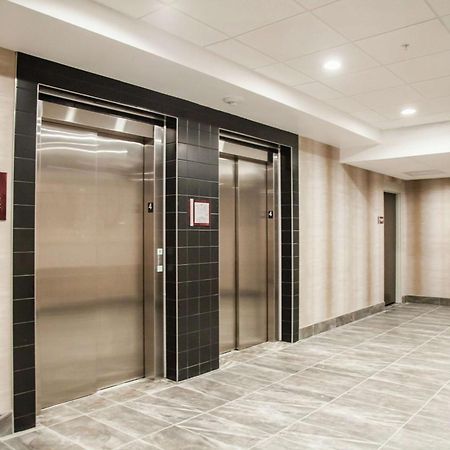 לוץ Hilton Garden Inn Tampa Suncoast Parkway מראה חיצוני תמונה