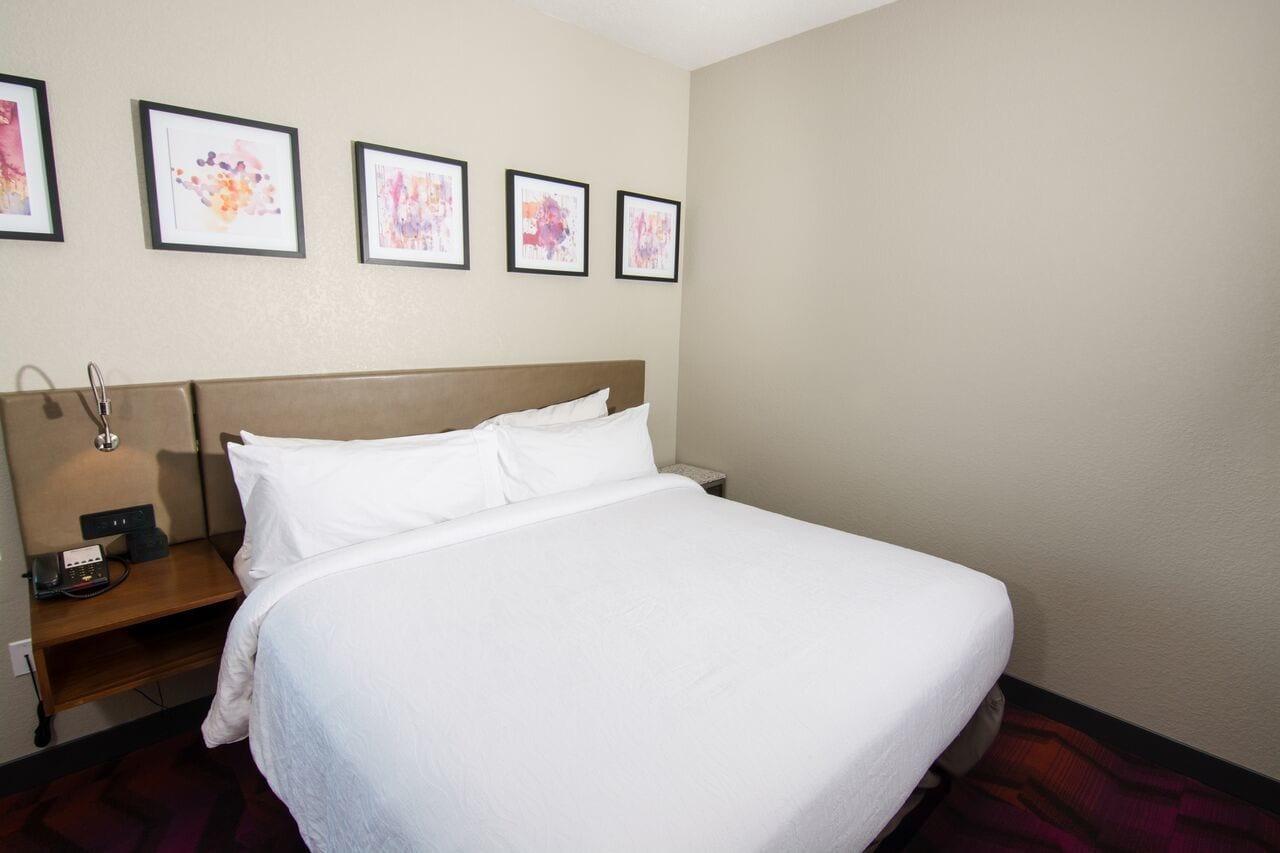 לוץ Hilton Garden Inn Tampa Suncoast Parkway מראה חיצוני תמונה