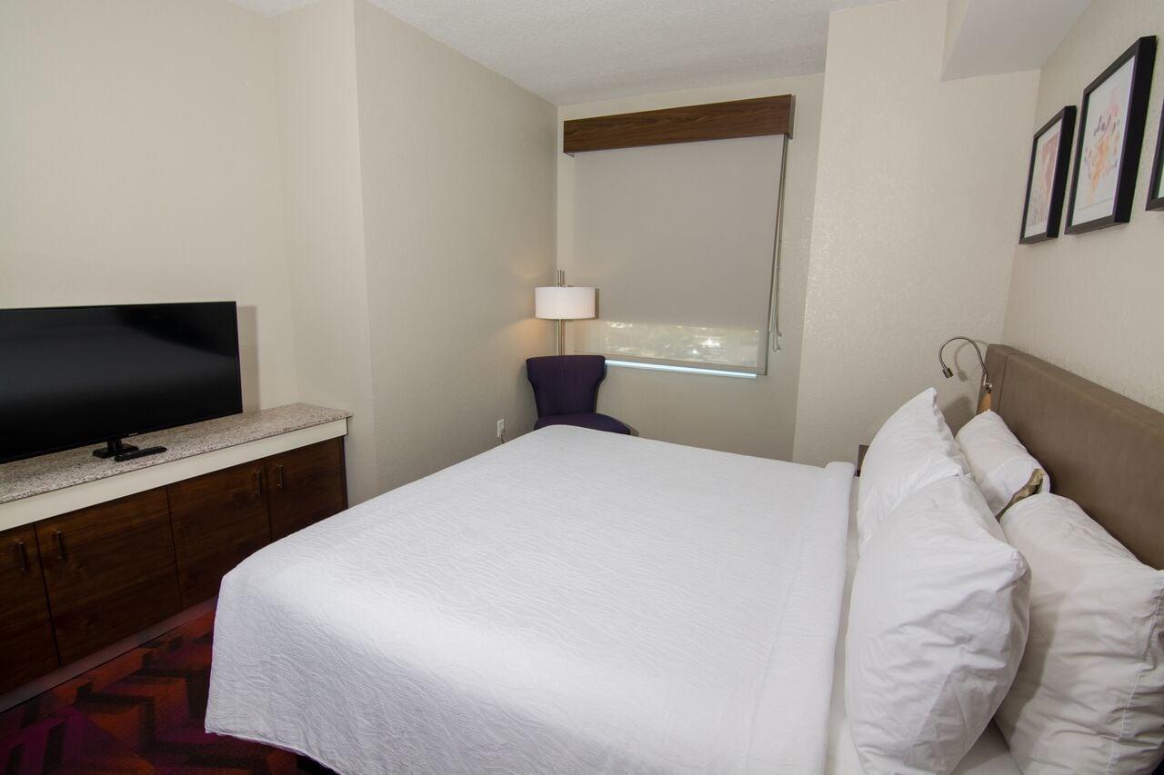 לוץ Hilton Garden Inn Tampa Suncoast Parkway מראה חיצוני תמונה