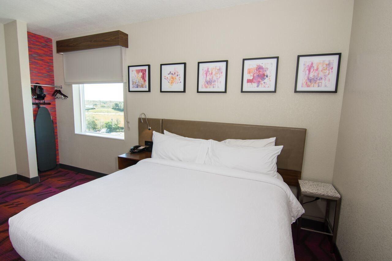 לוץ Hilton Garden Inn Tampa Suncoast Parkway מראה חיצוני תמונה