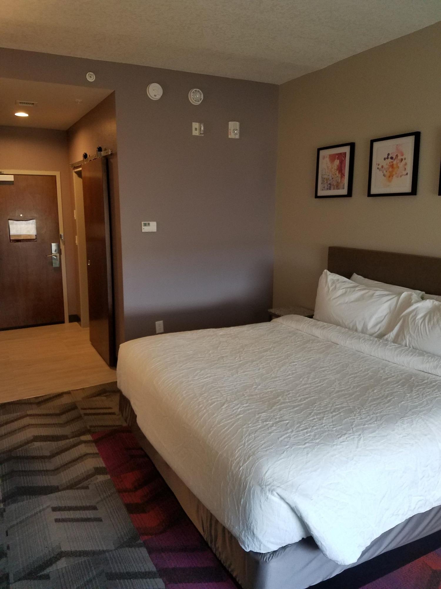 לוץ Hilton Garden Inn Tampa Suncoast Parkway מראה חיצוני תמונה