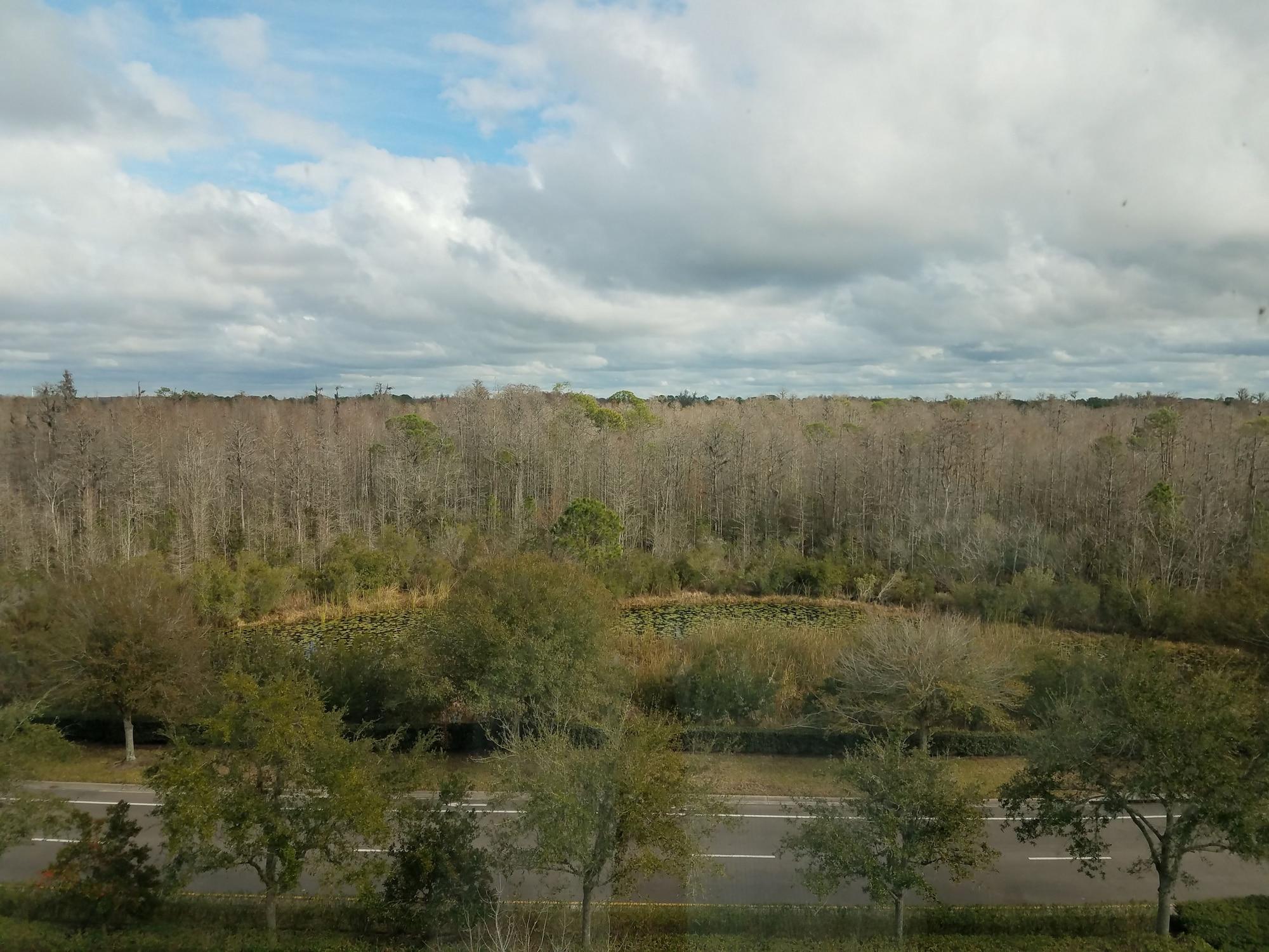לוץ Hilton Garden Inn Tampa Suncoast Parkway מראה חיצוני תמונה