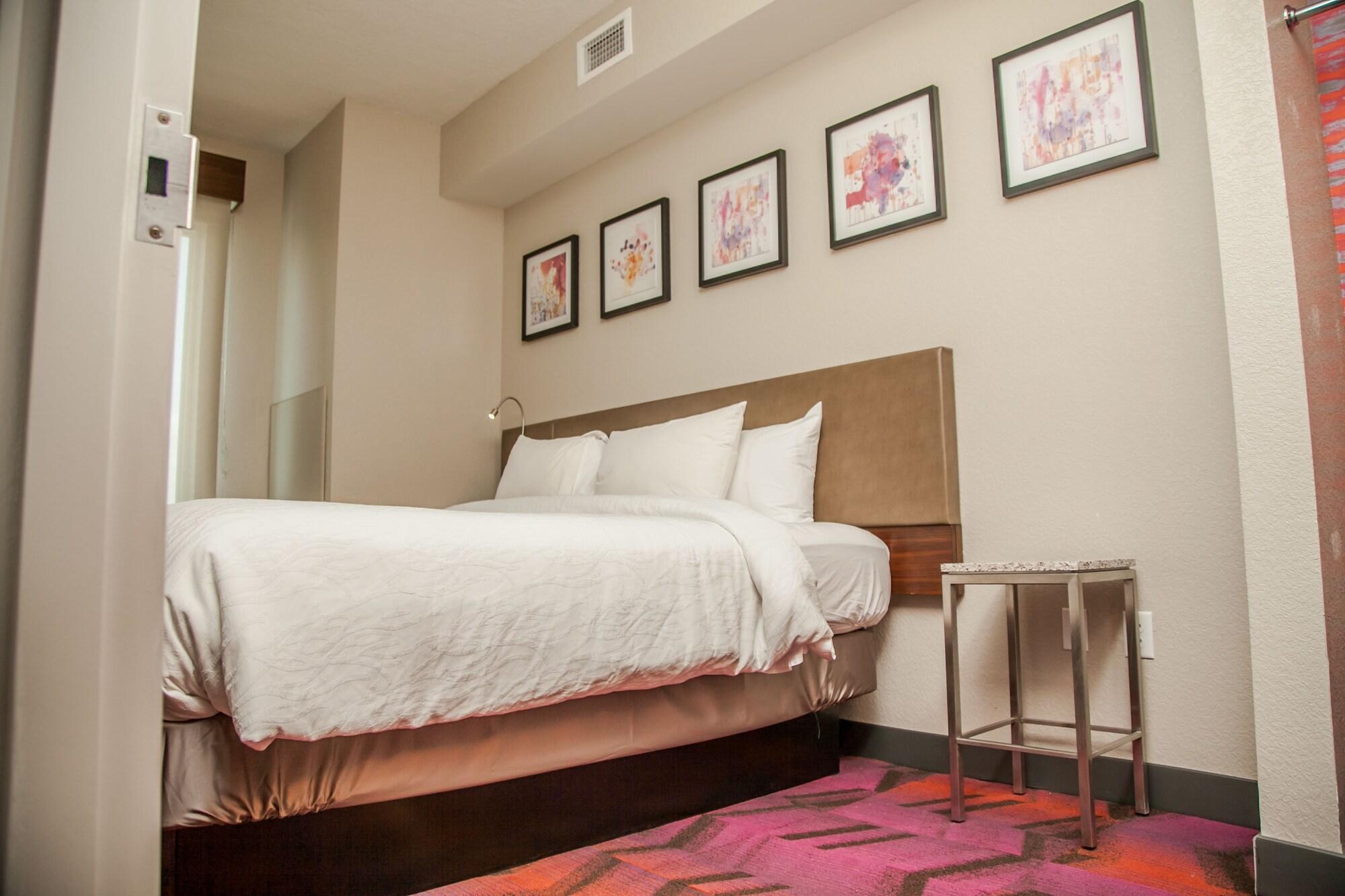 לוץ Hilton Garden Inn Tampa Suncoast Parkway מראה חיצוני תמונה