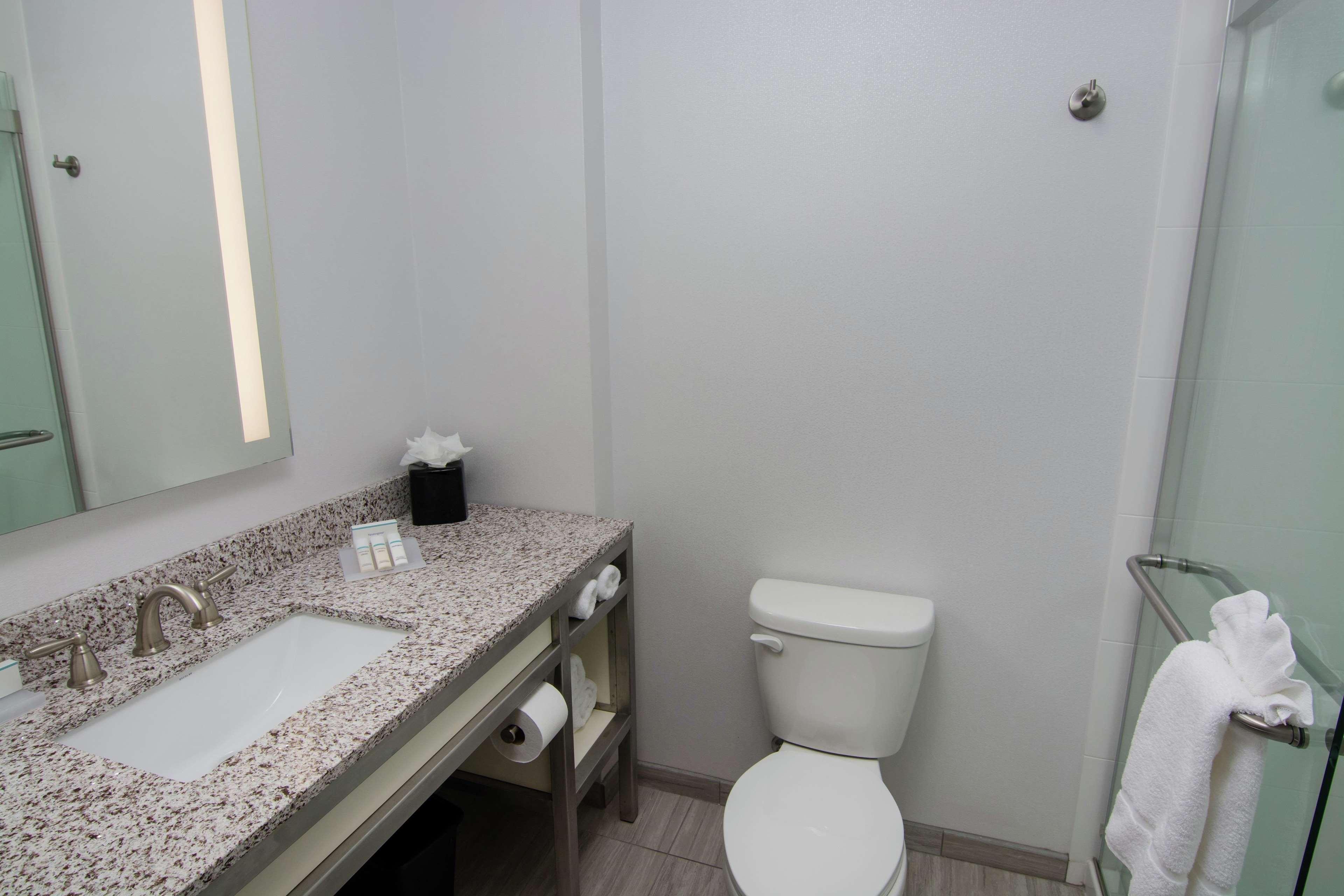 לוץ Hilton Garden Inn Tampa Suncoast Parkway מראה חיצוני תמונה