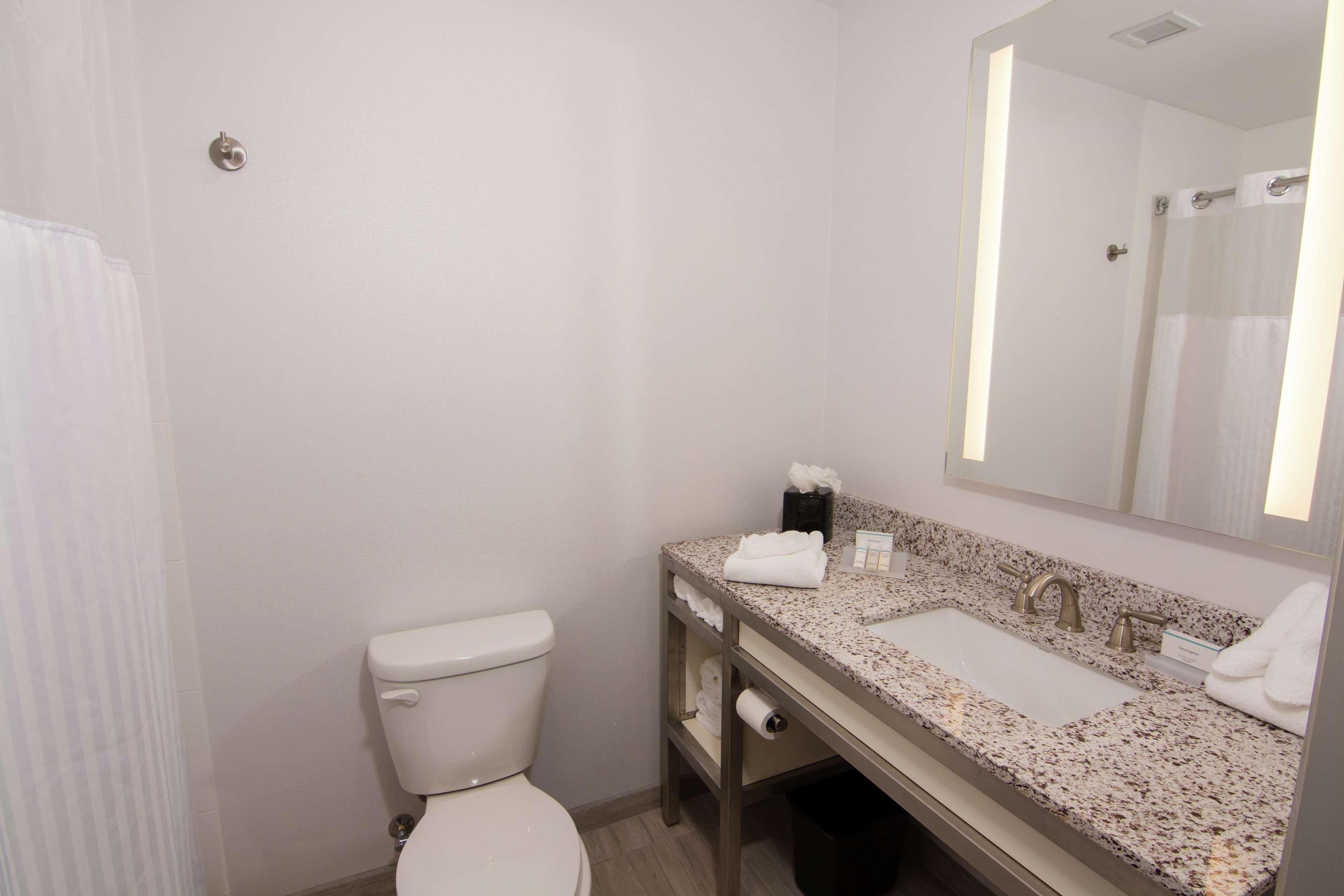 לוץ Hilton Garden Inn Tampa Suncoast Parkway מראה חיצוני תמונה
