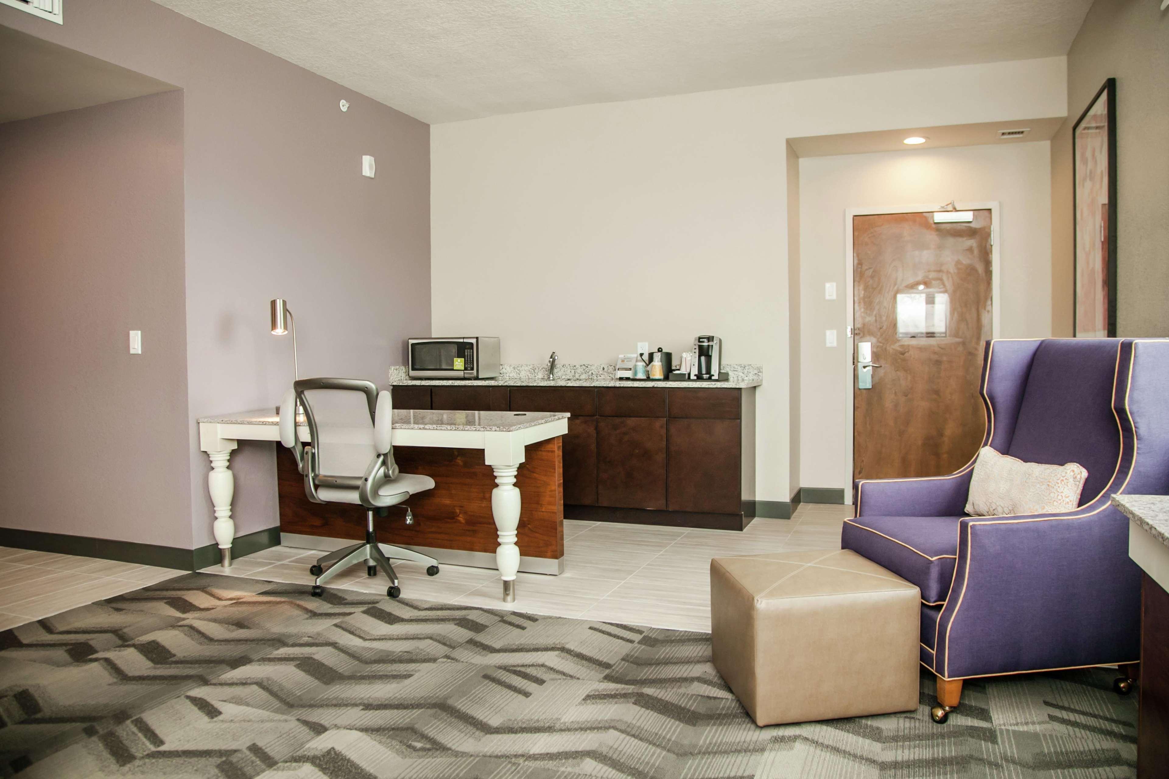 לוץ Hilton Garden Inn Tampa Suncoast Parkway מראה חיצוני תמונה