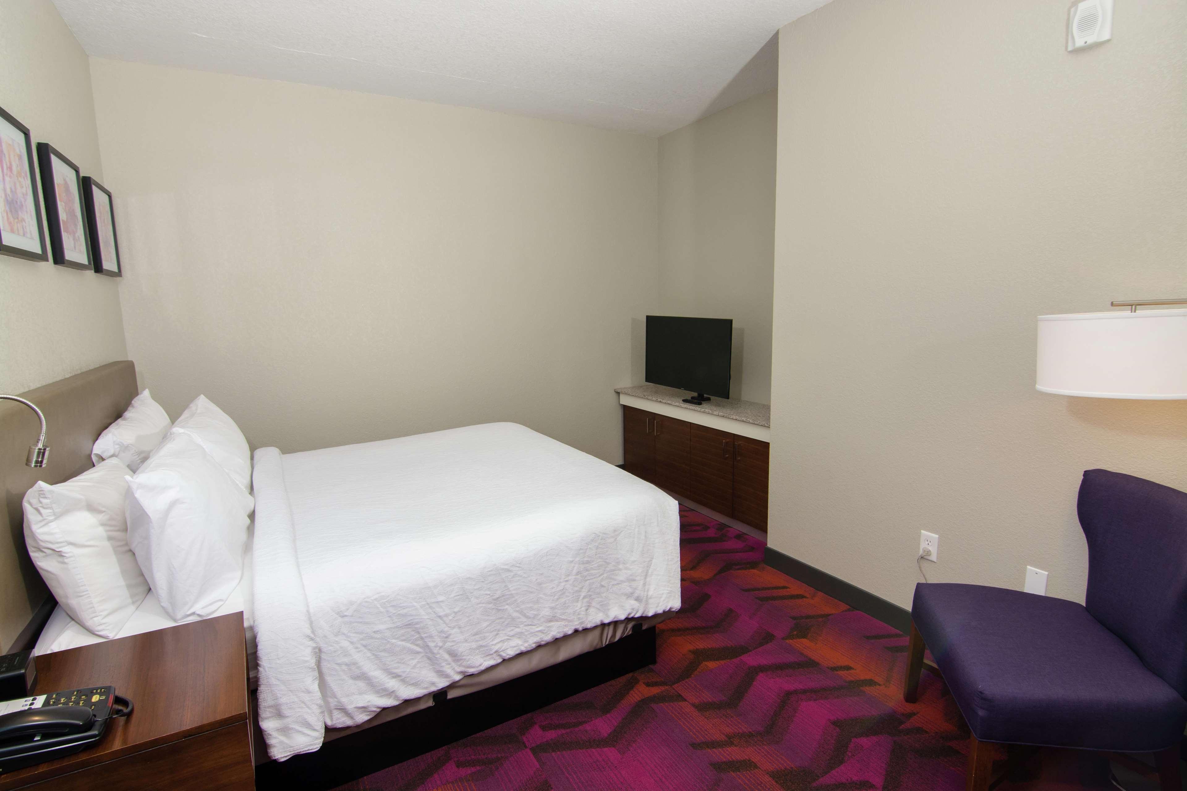 לוץ Hilton Garden Inn Tampa Suncoast Parkway מראה חיצוני תמונה