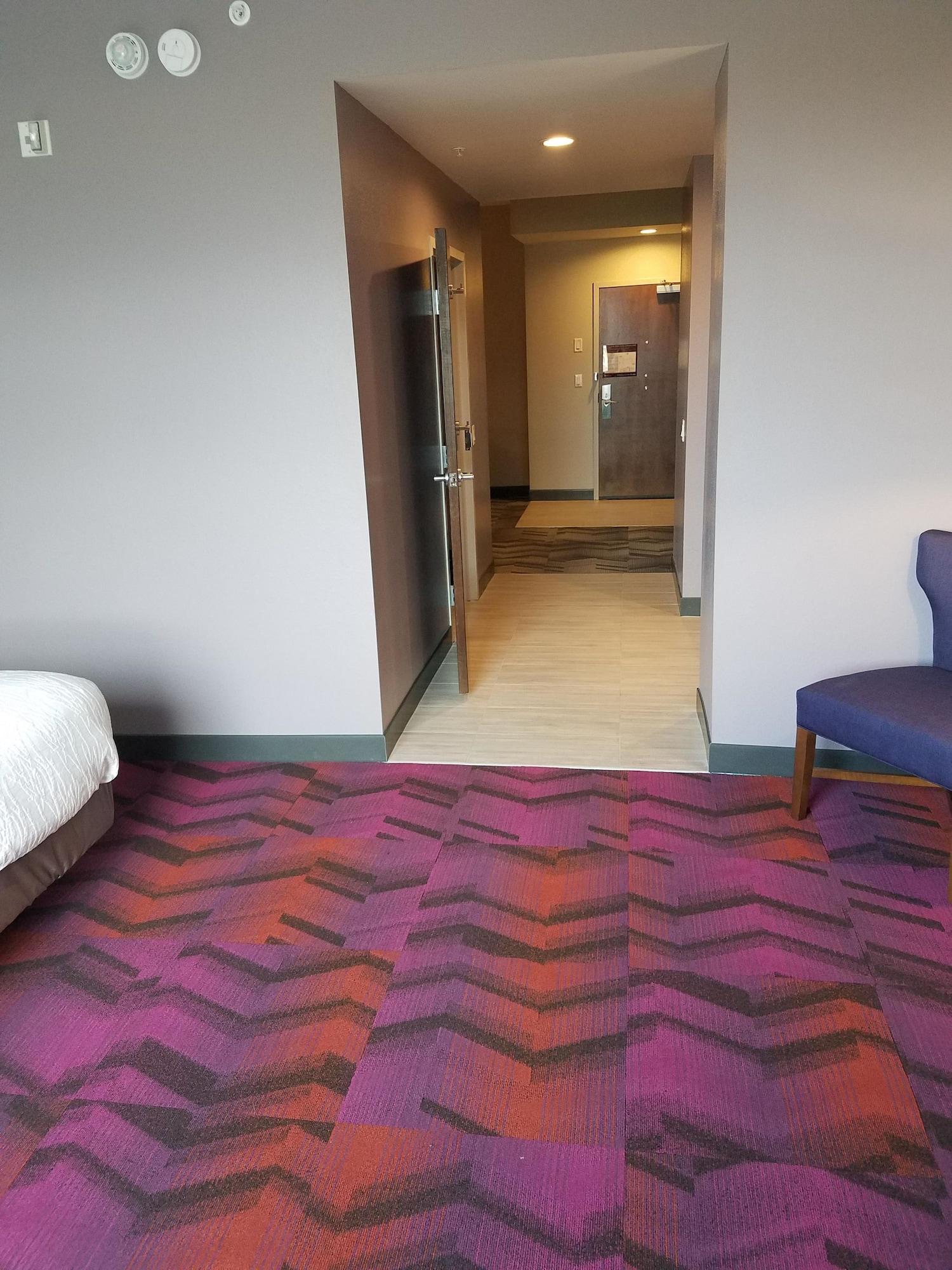 לוץ Hilton Garden Inn Tampa Suncoast Parkway מראה חיצוני תמונה
