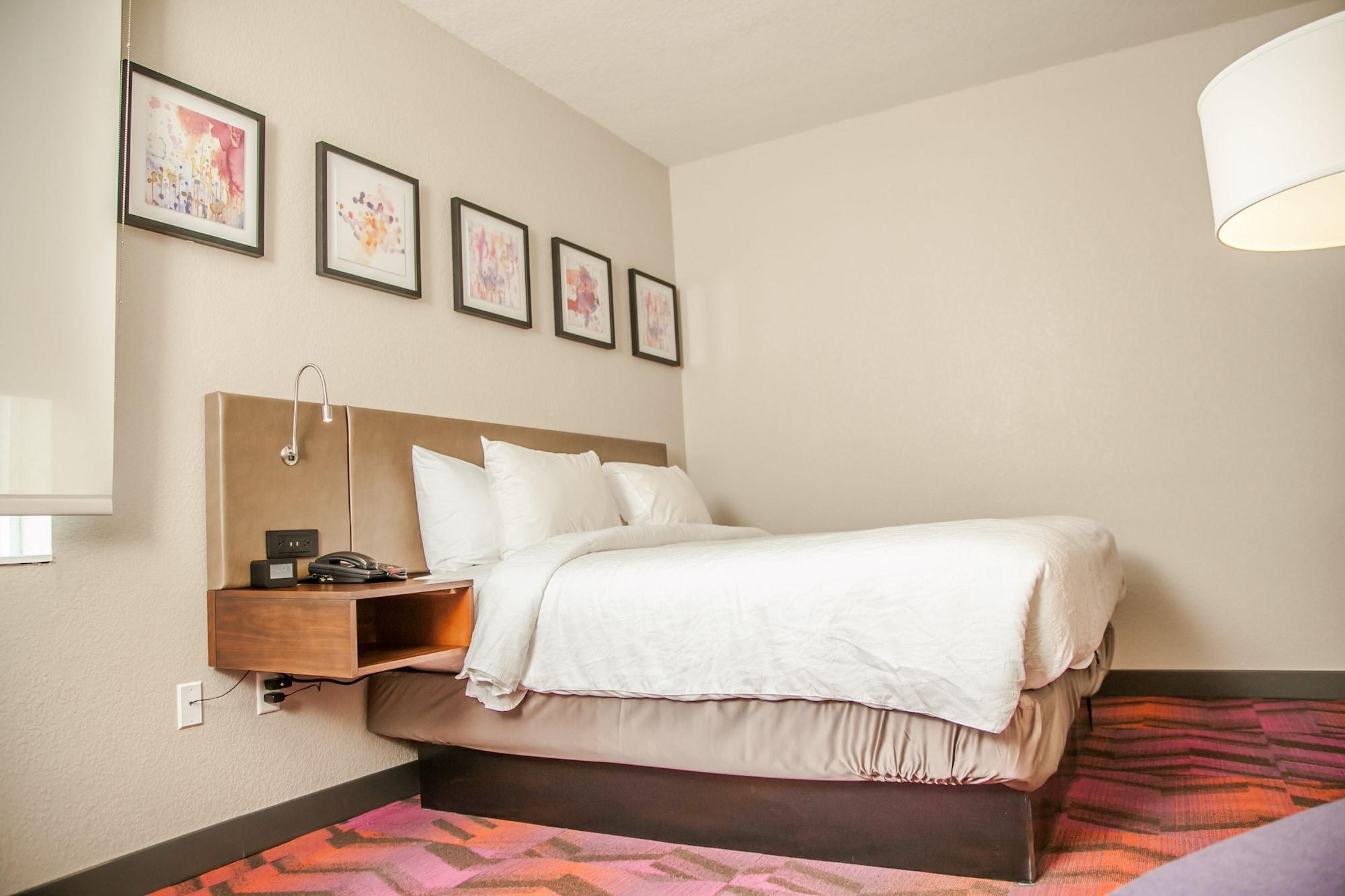 לוץ Hilton Garden Inn Tampa Suncoast Parkway מראה חיצוני תמונה