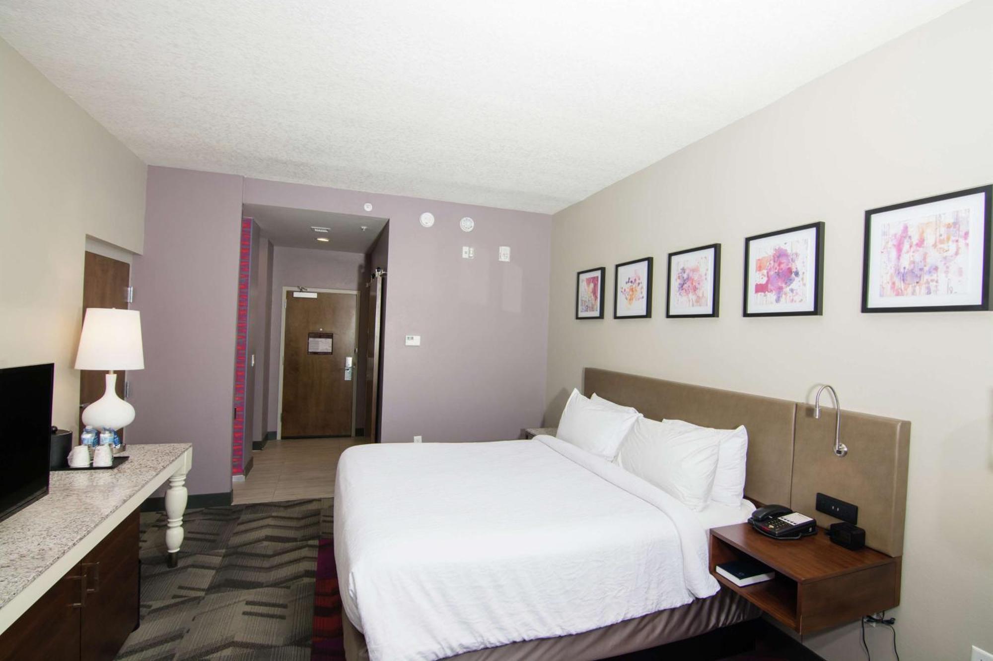לוץ Hilton Garden Inn Tampa Suncoast Parkway מראה חיצוני תמונה