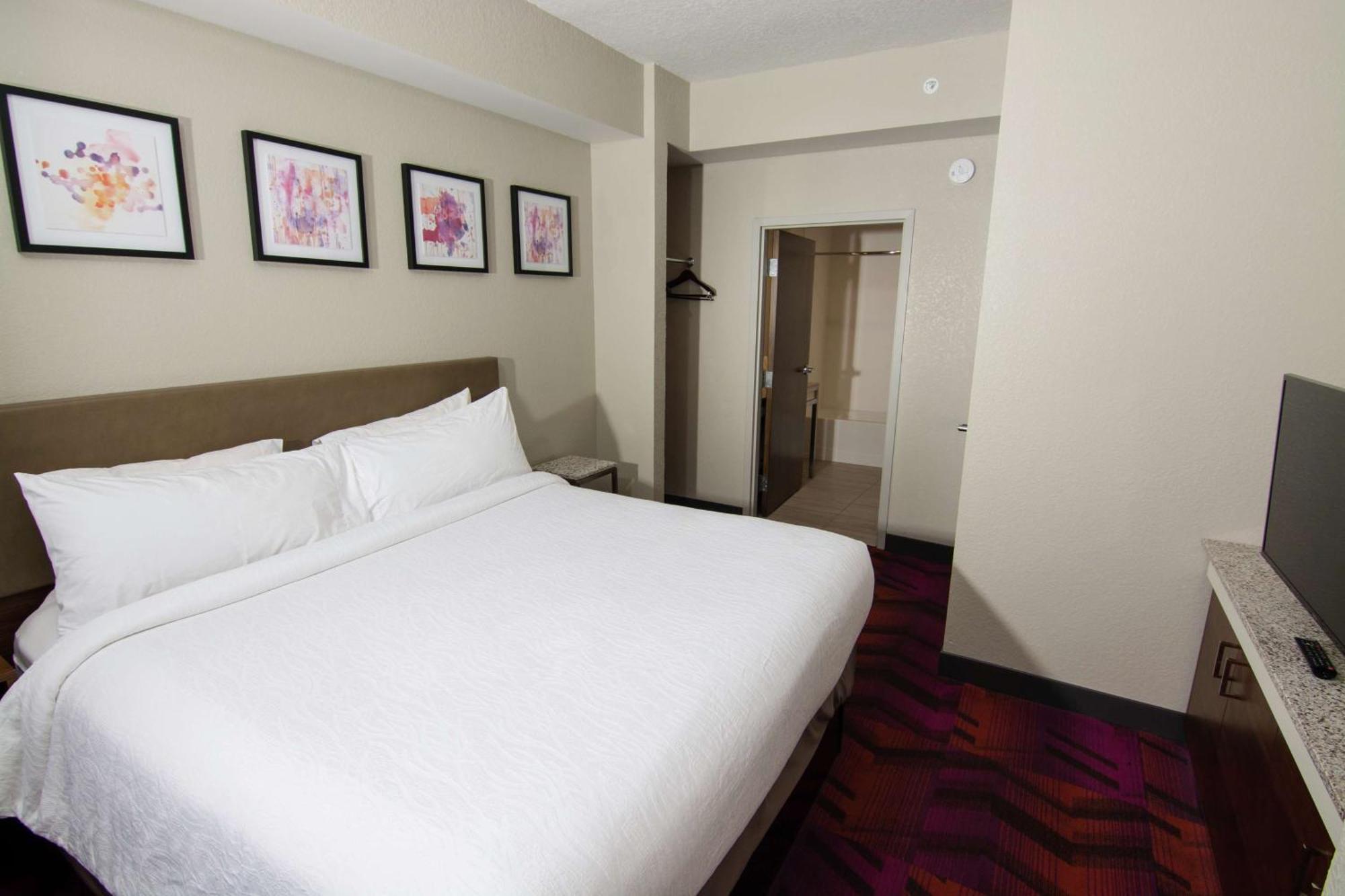 לוץ Hilton Garden Inn Tampa Suncoast Parkway מראה חיצוני תמונה