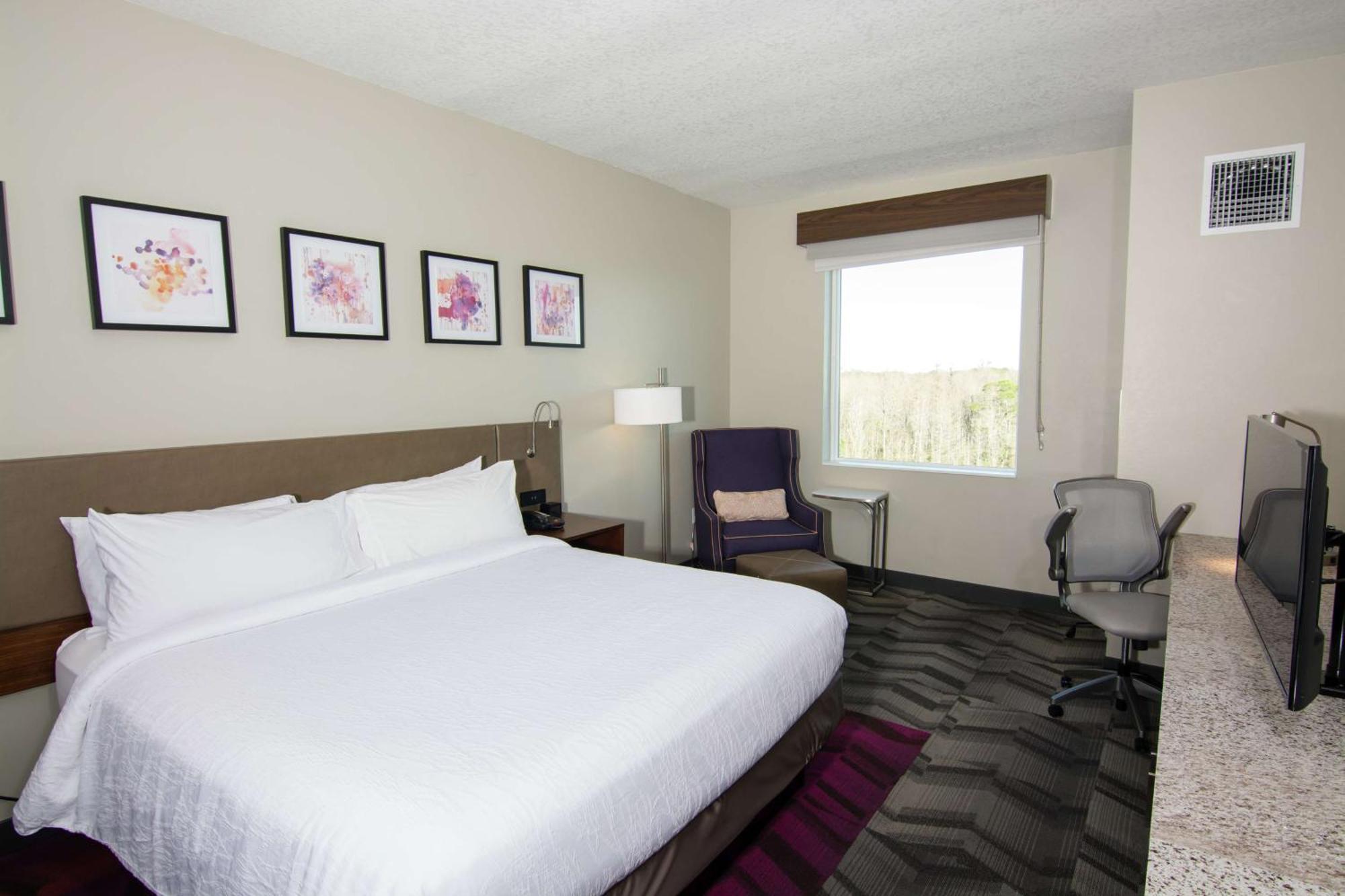 לוץ Hilton Garden Inn Tampa Suncoast Parkway מראה חיצוני תמונה