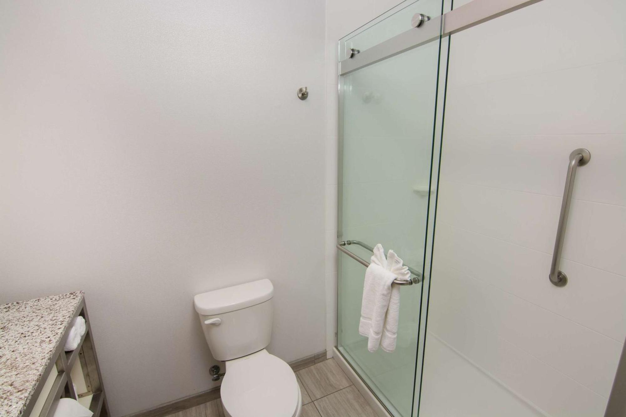 לוץ Hilton Garden Inn Tampa Suncoast Parkway מראה חיצוני תמונה