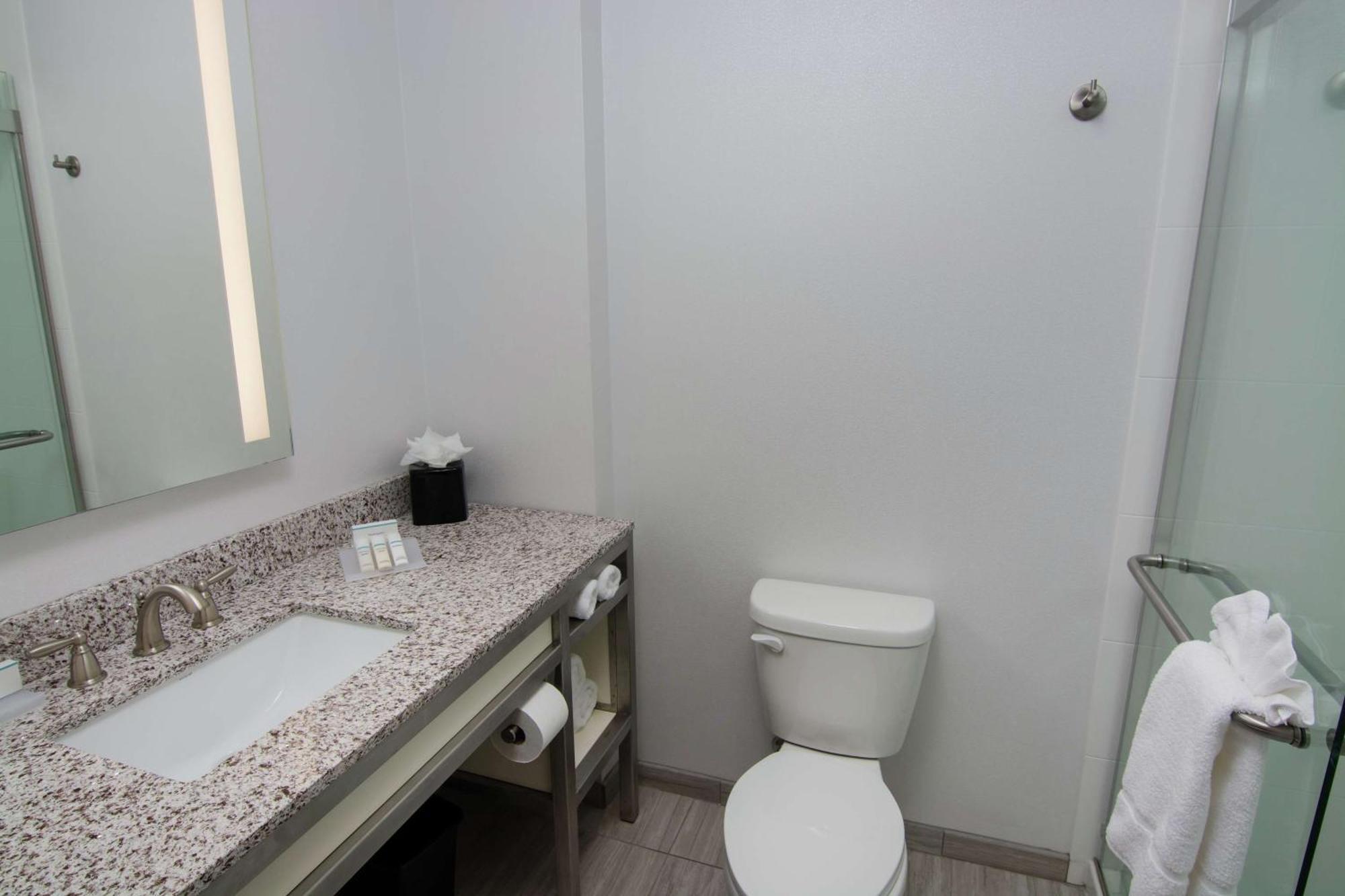 לוץ Hilton Garden Inn Tampa Suncoast Parkway מראה חיצוני תמונה
