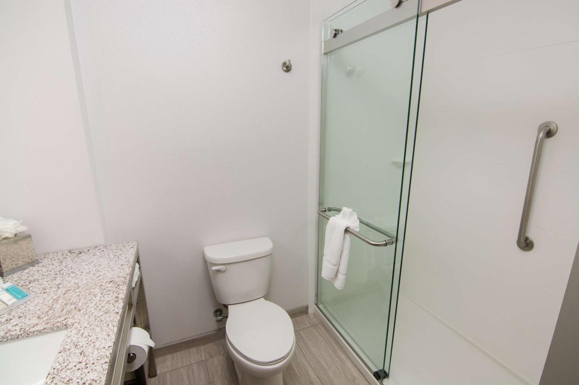 לוץ Hilton Garden Inn Tampa Suncoast Parkway מראה חיצוני תמונה