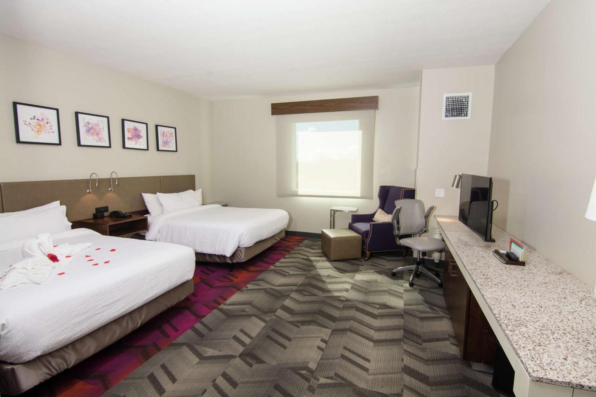 לוץ Hilton Garden Inn Tampa Suncoast Parkway מראה חיצוני תמונה