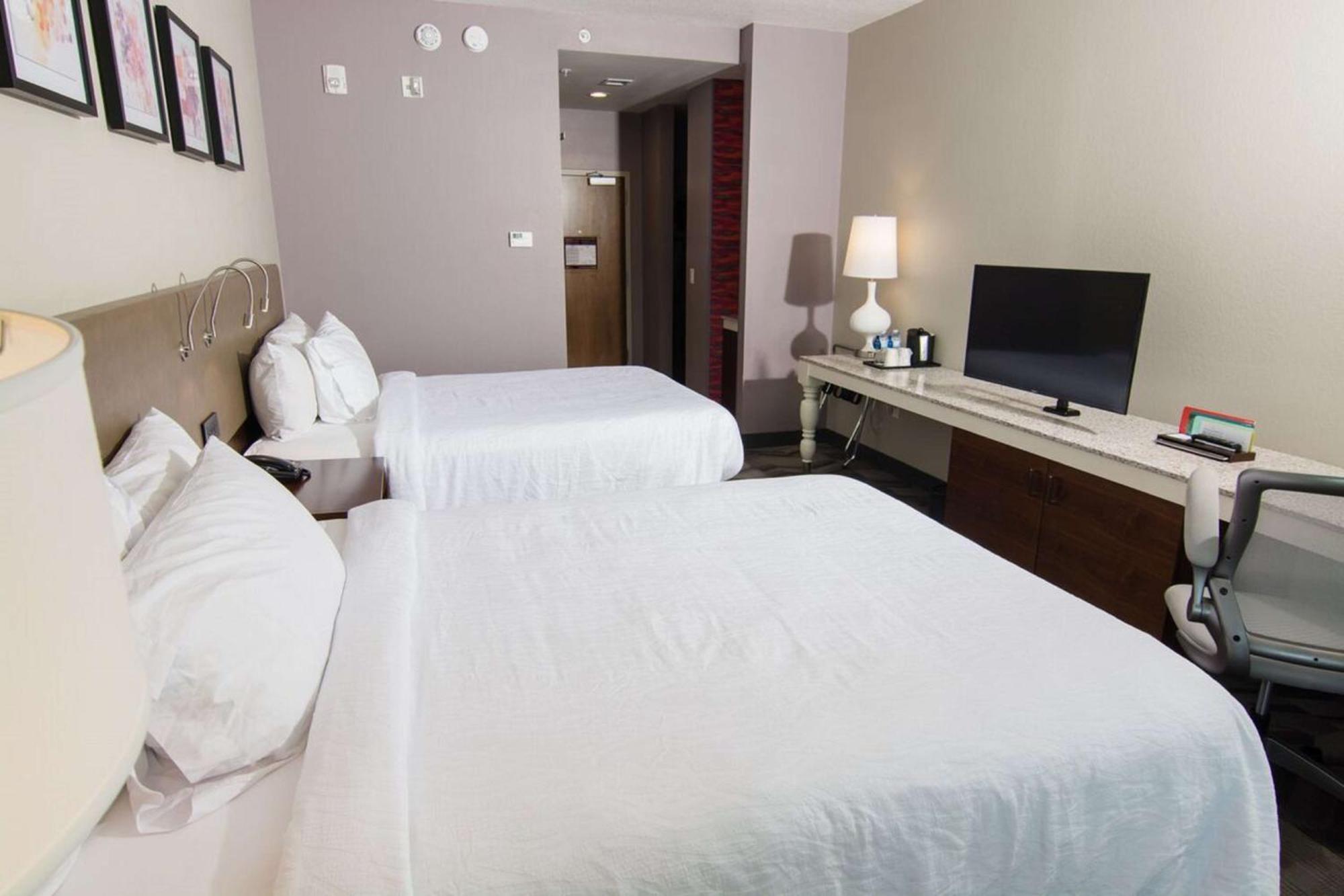 לוץ Hilton Garden Inn Tampa Suncoast Parkway מראה חיצוני תמונה