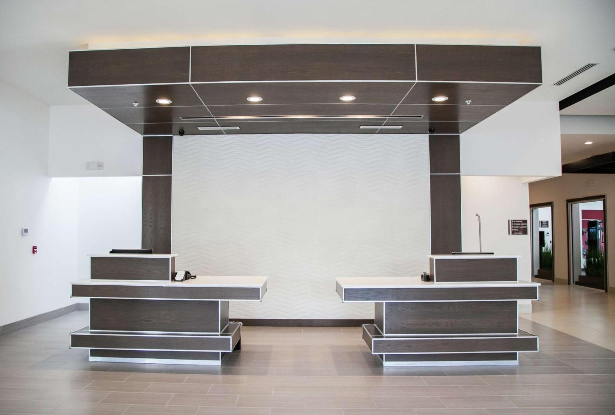 לוץ Hilton Garden Inn Tampa Suncoast Parkway מראה חיצוני תמונה
